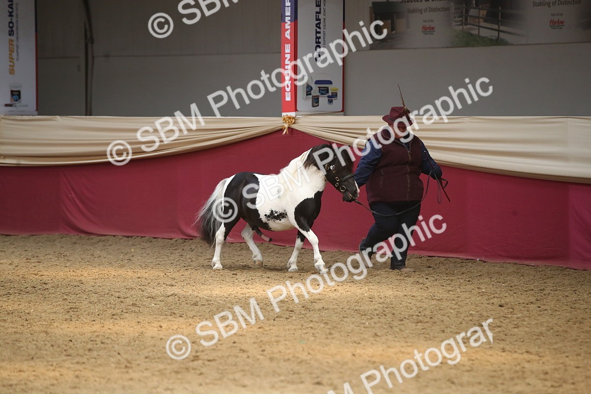 SBM_05594 - Class 9R - Regional IH Pre-Vet