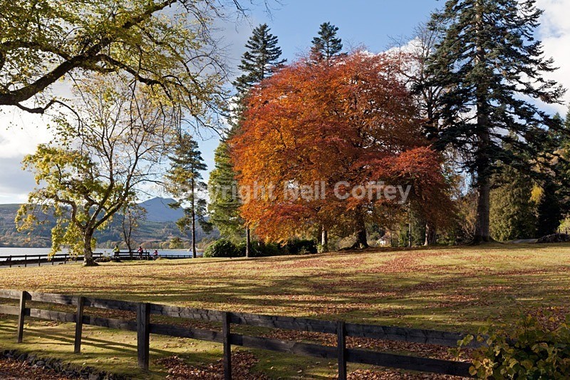Altskeith, Loch Ard, The Trossachs - Landscape format