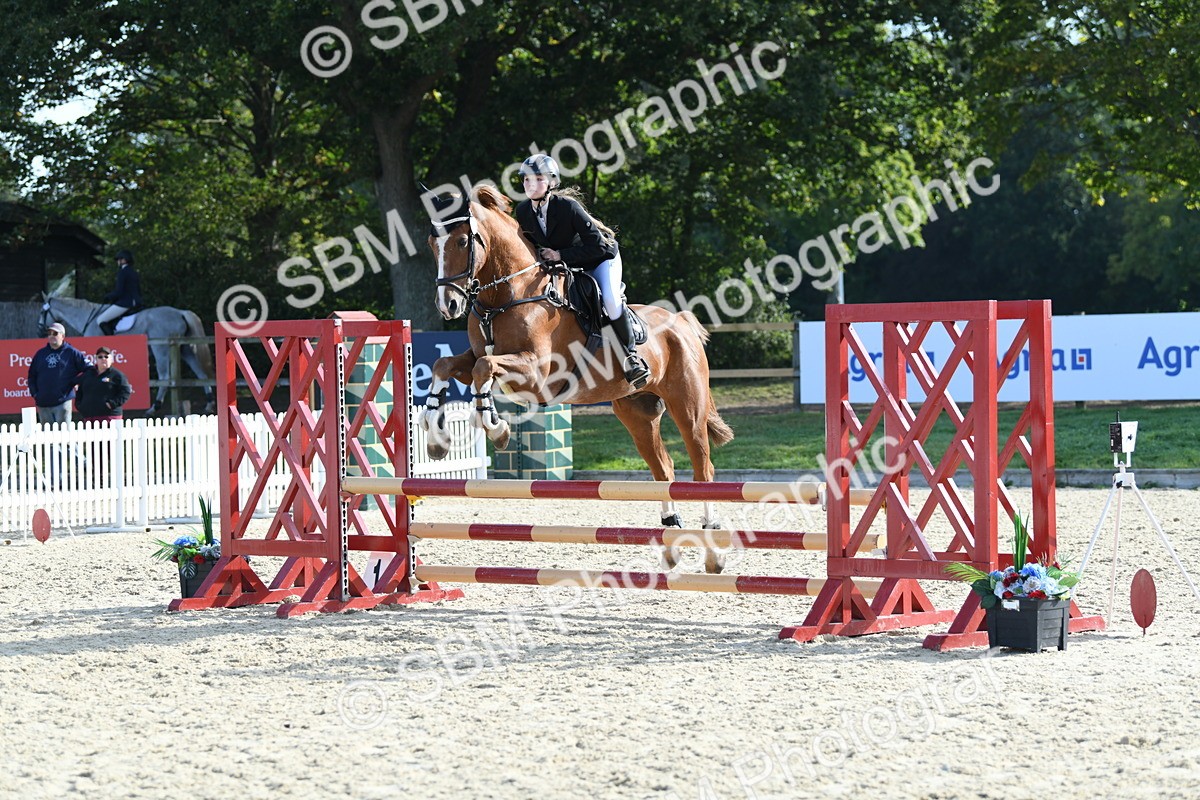 SBM_60551 - j25 - Junior Horse 80cm Championship