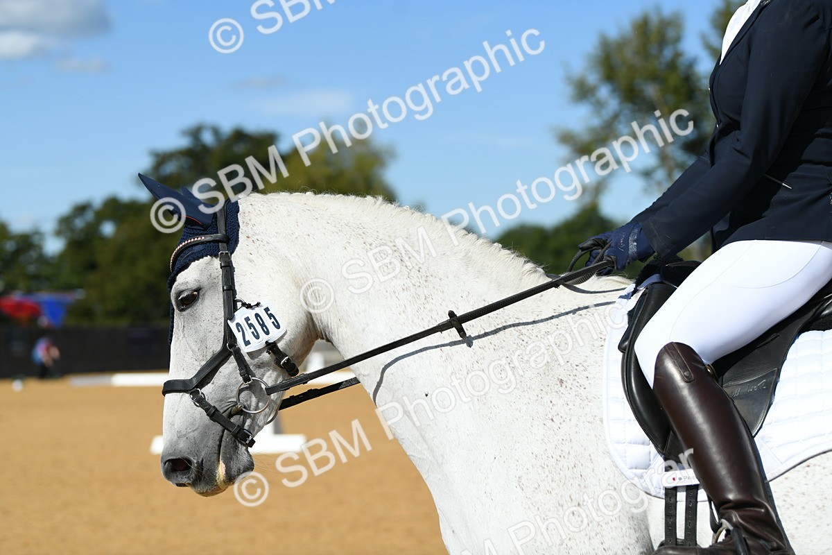 SBM_24707 - D13 - Grand Tour Championship - Prelim 12