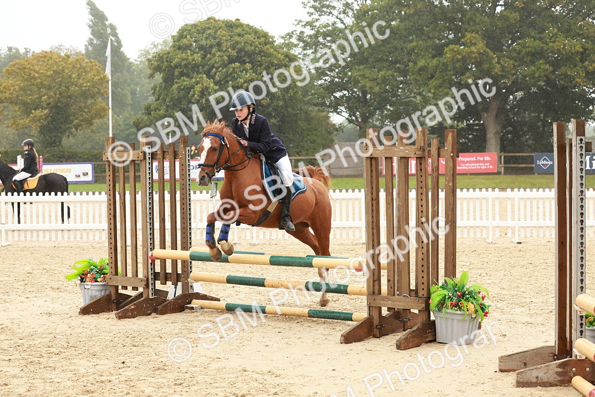SBM_73349 - Supreme Championship Junior Pony 60cm & 65cm