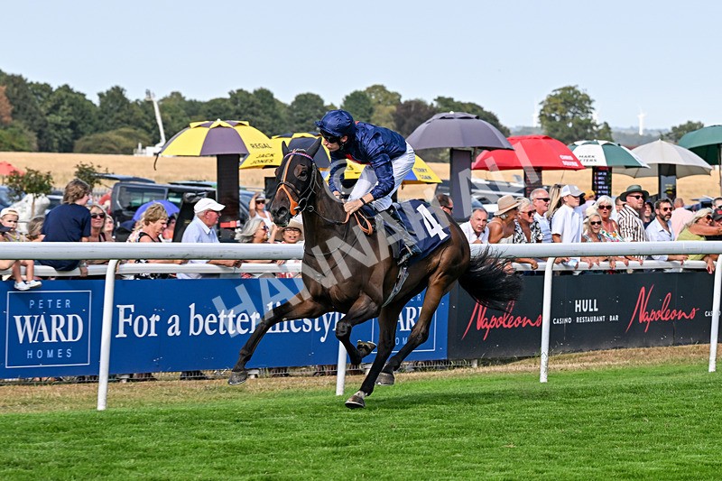 130826-Race 5-Wardlaw-9477 - Race 5 16.15pm Middle Distance Handicap