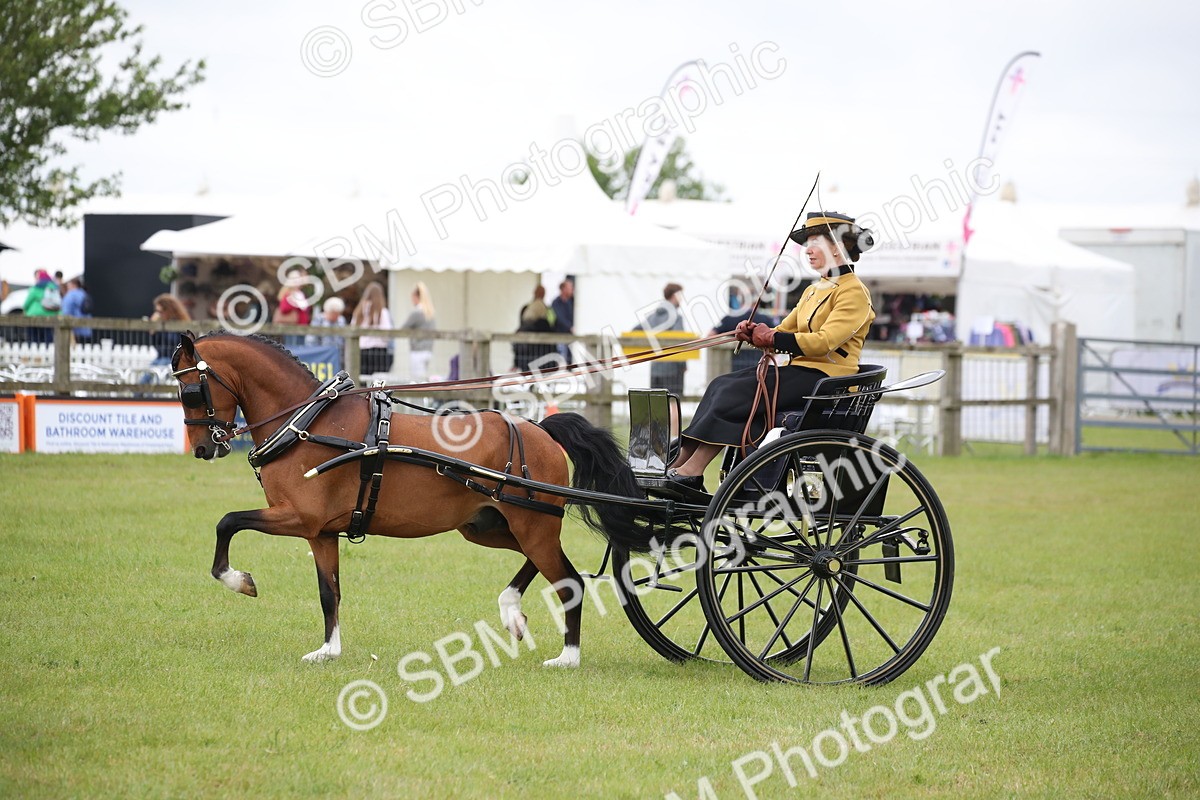 SBM_05842 - Class 12-15 - HOYS Private Driving