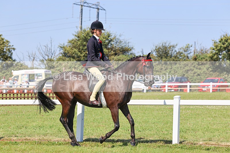 IMG_1979 - Class 33: Show Pony 148cm and under