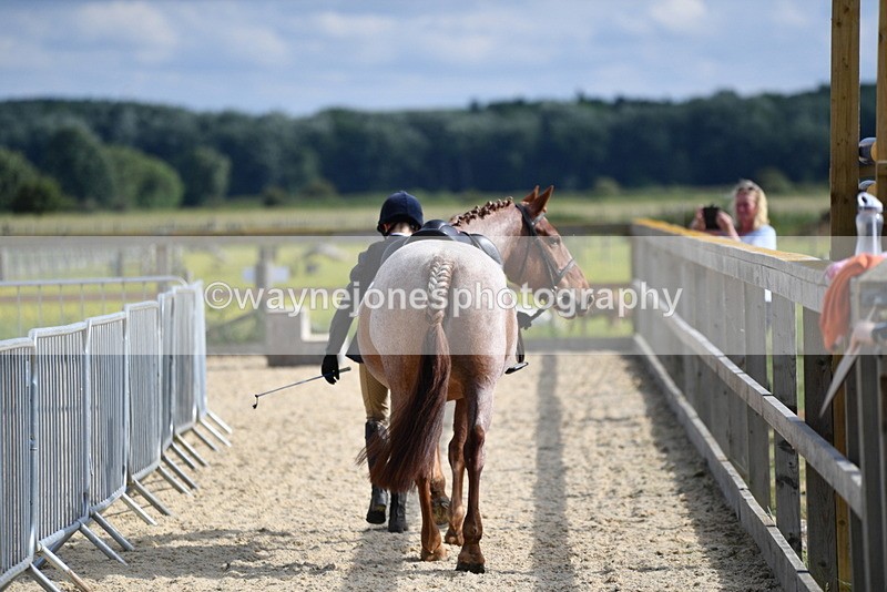 WJ5_7817 - Time 16:40 to 16:55