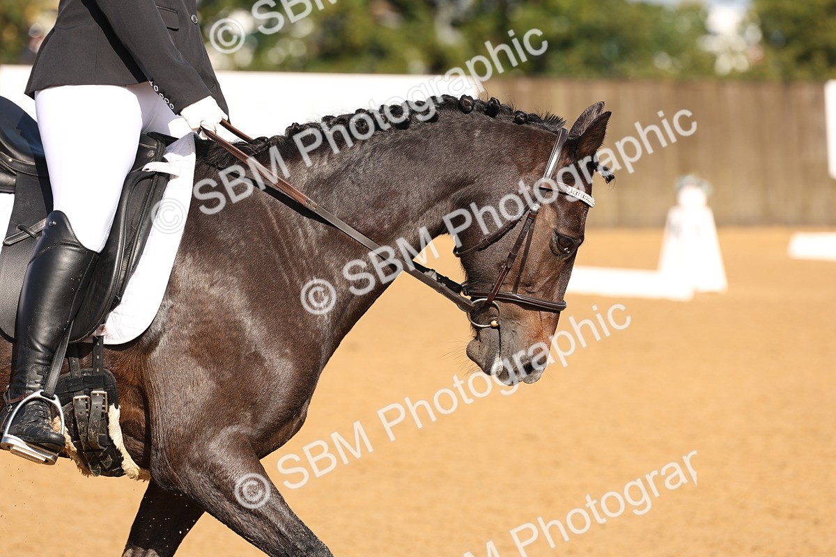 SBM_37553 - D18 - Grand Tour Championship Novice 2