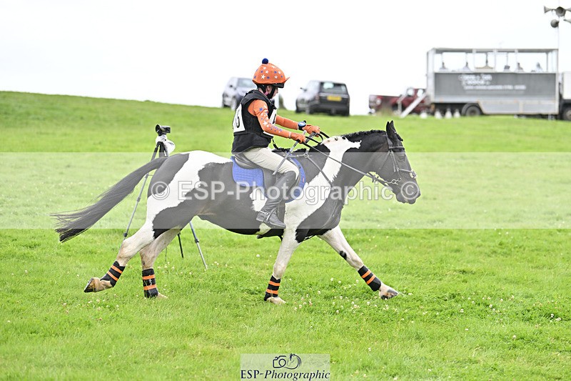 240804-144436-15452 - 555-Jack_Wish-WESTERLAKE_BUTTONWEED