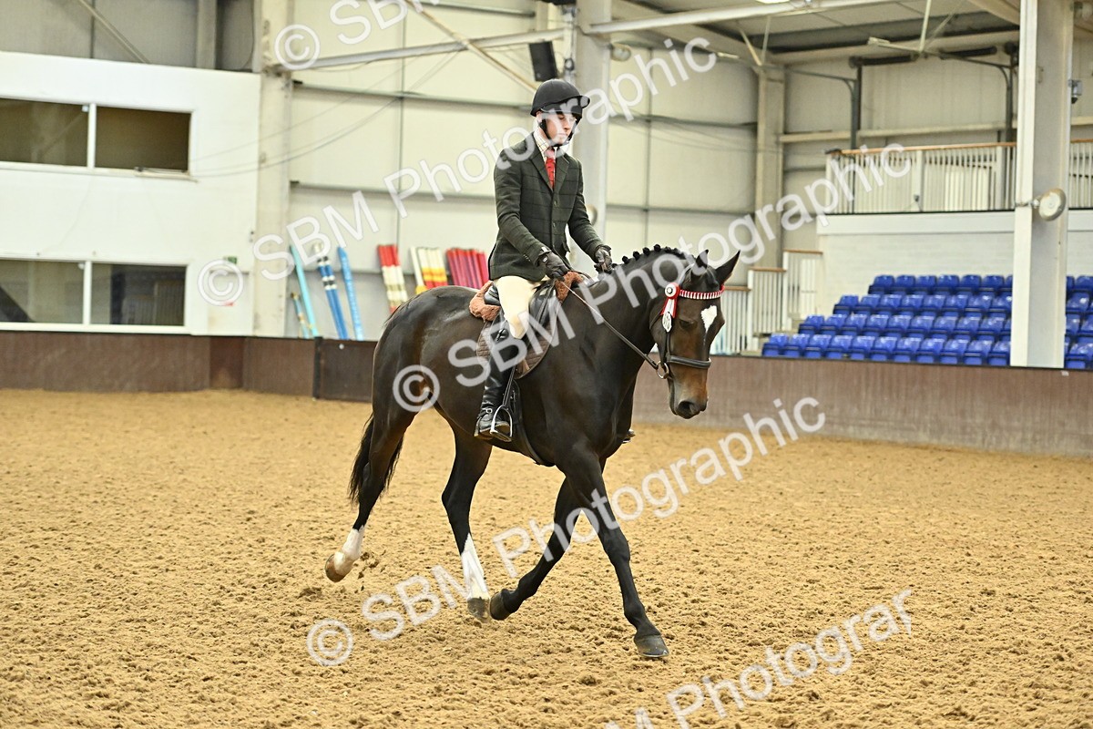 SBM_002067 - Class 23 - BSHA Ridden Show Hunter