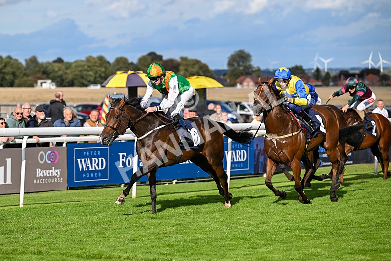 170925-Race 5-Hashtagnotions-5415 - Race 5