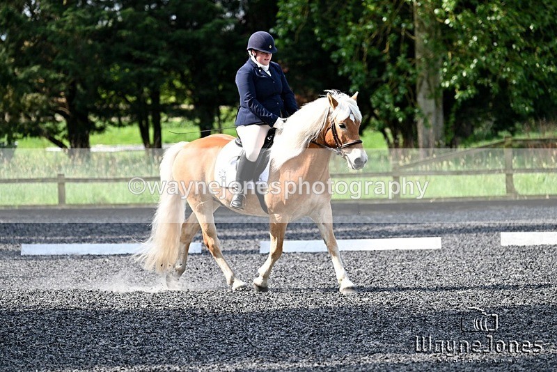 WJ7_7973 - Edited examples