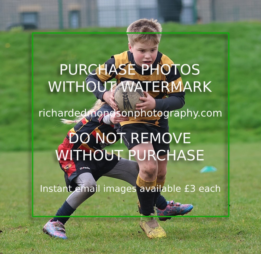 533A5594 - Kendal Rugby Mini & Youth (Sunday 12/4/26)