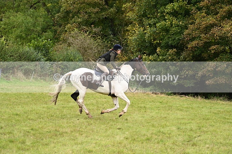 WJ7_4198 - Camera 1 Line 2