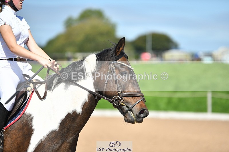 230903A-130401-04680 - Cls 15A U21 Intro 90cm