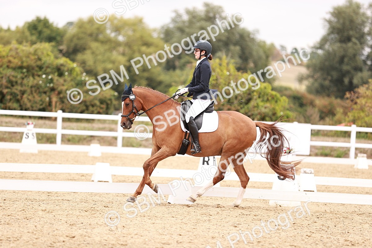 SBM_019297 - Class 20 - Medium 5