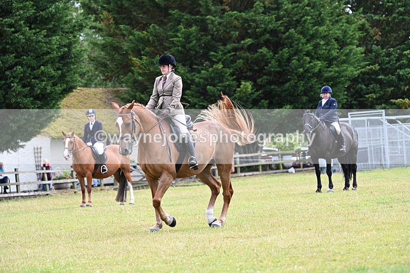 WJ7_9287 - Class 8 Ridden Veterans