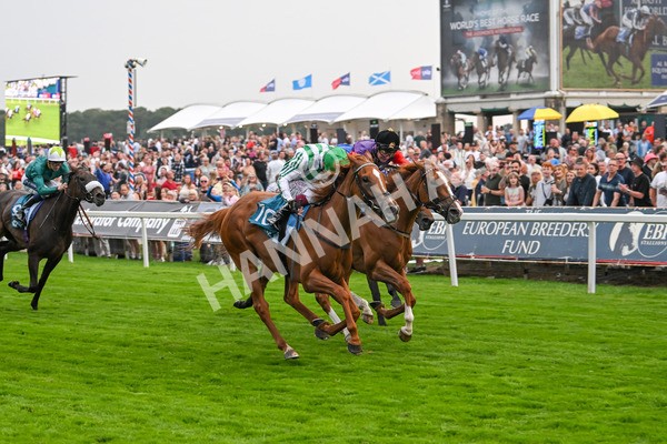 250725-Race 5-Sand Gazelle-6051 - Race 5 7.48pm British EBF Lyric Fillies' Stakes