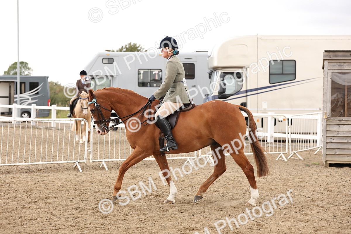 SBM_02920 - Class 53 - Ridden Competition Horse/Pony