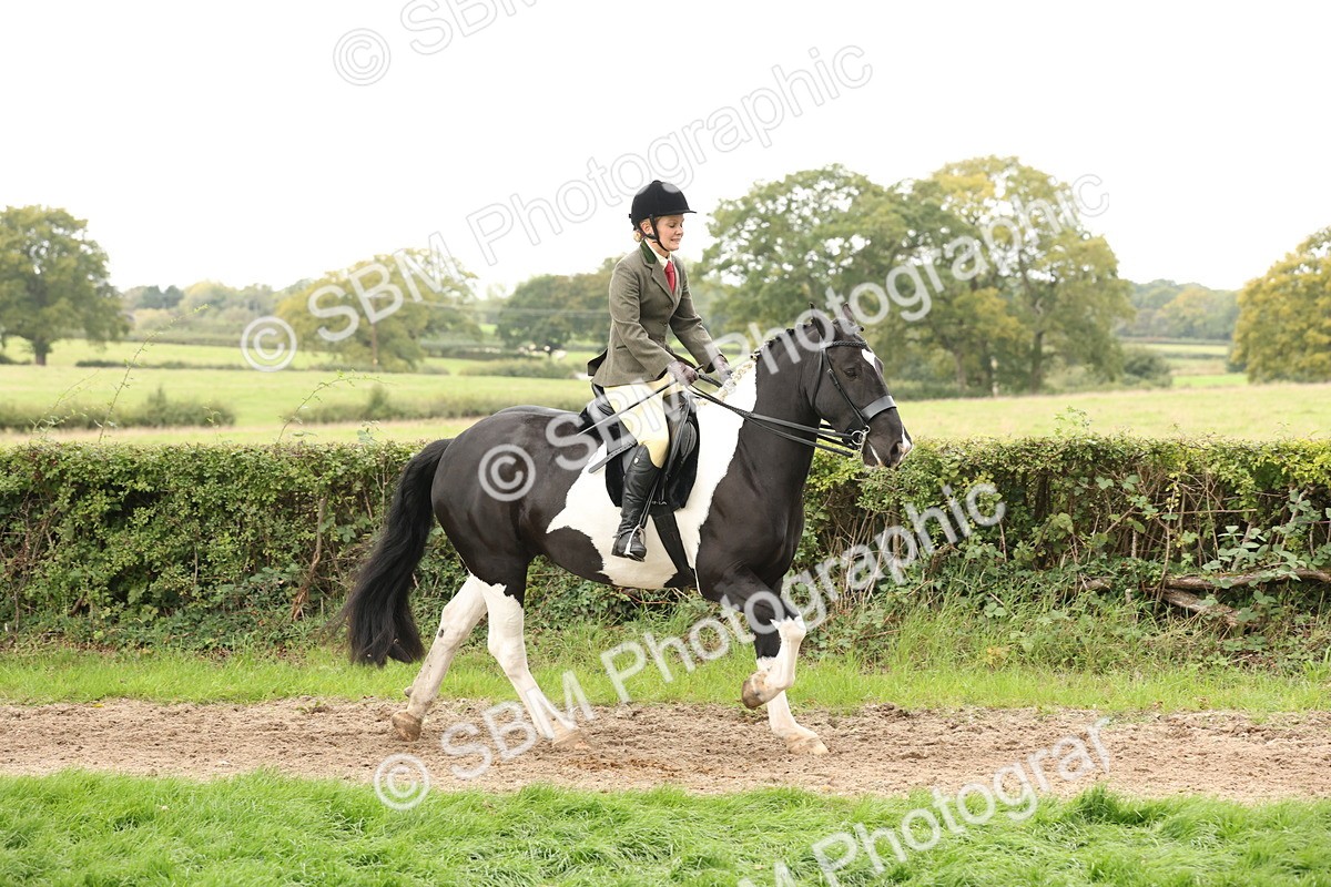 SBM_67239 - S67 - Piebald & Skewbald Horse Ridden