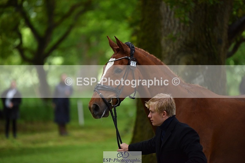 240522-163822-01051 - 215-RAMIRO_WANNABE-Finn_Healy