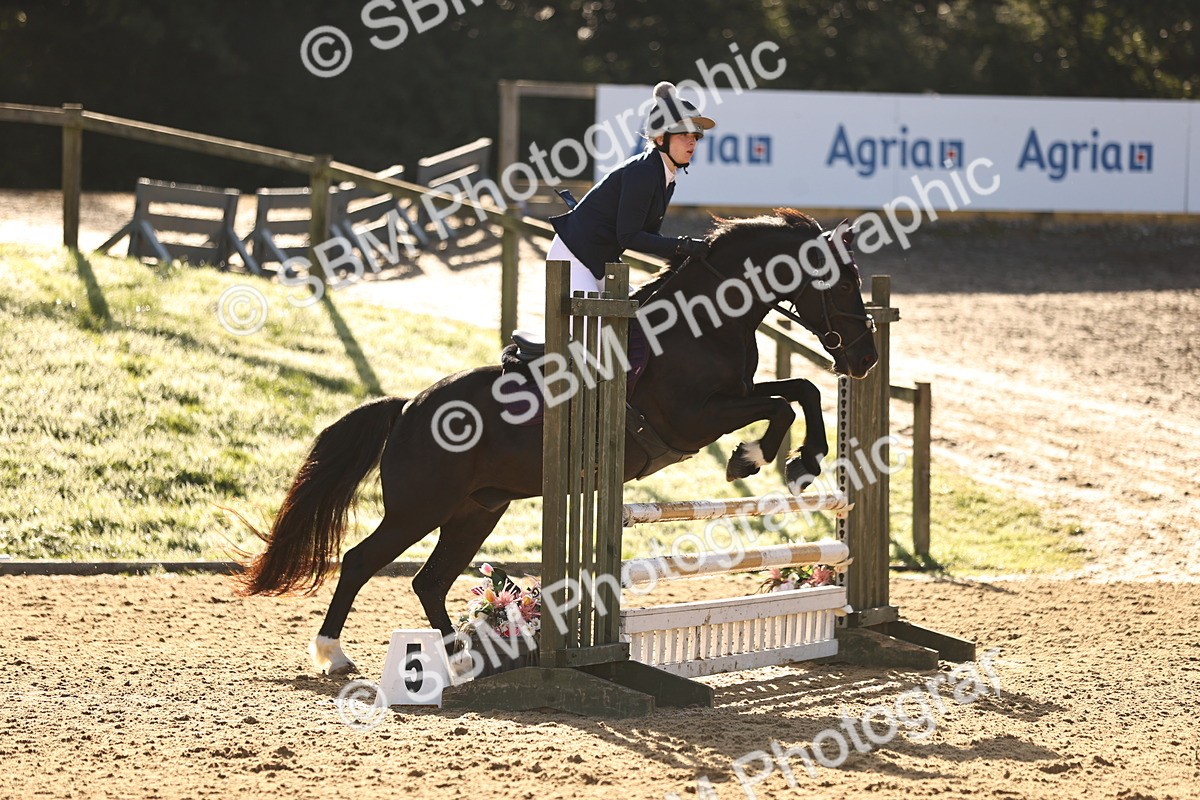 SBM_35121 - J38 - Senior 80cm Championship