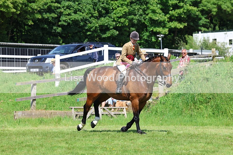 3E7A8988 - Supreme Championship