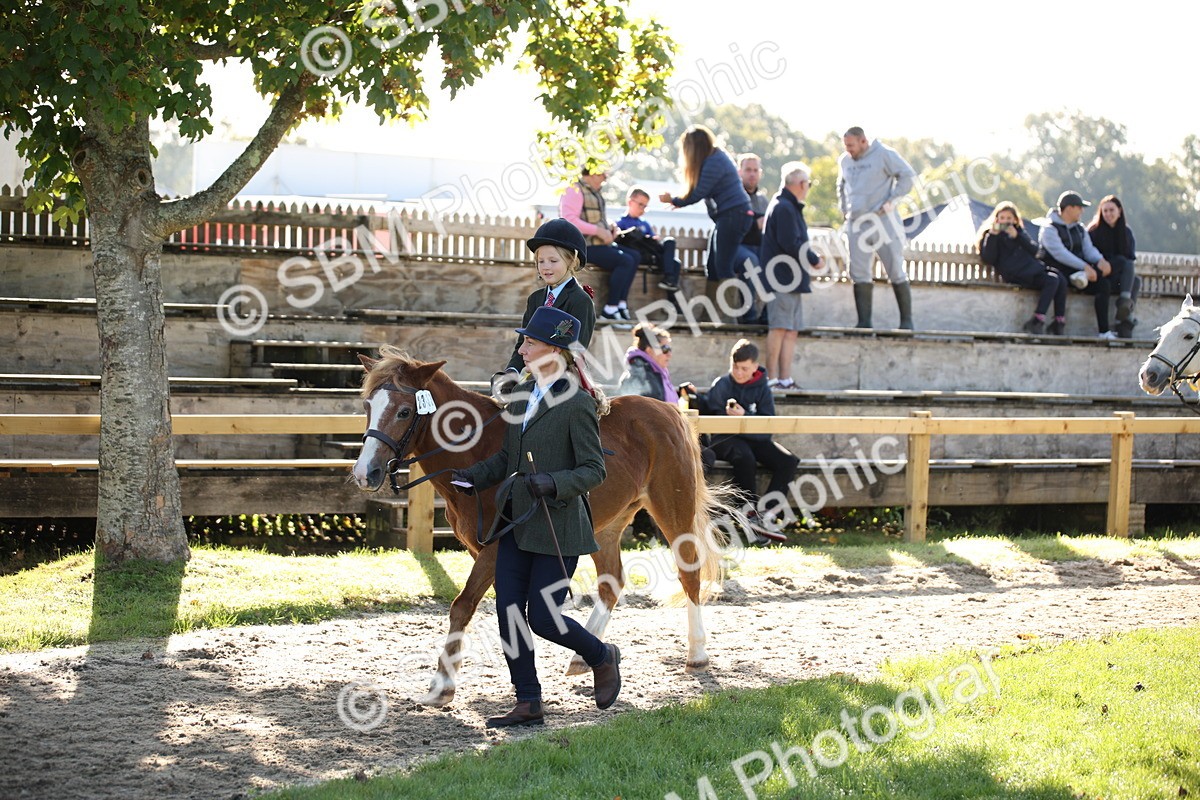SBM_35771 - S9 - Lead Rein Equitation