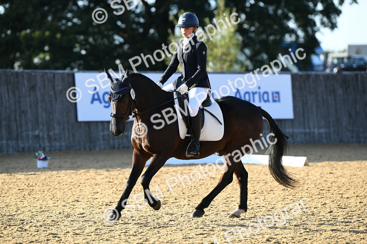 SBM_30791 - D16 - Small Tour Championship - Novice 28