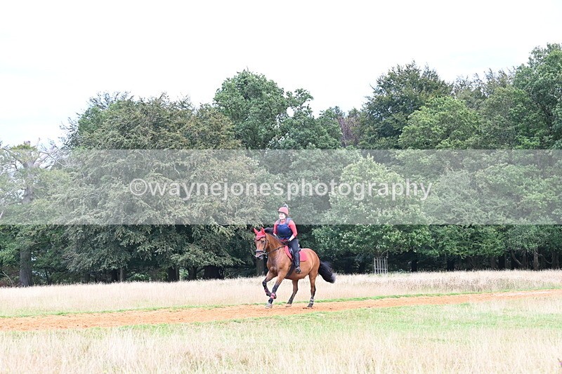 DSC_8865 - Time at Statue 14:33 to 15:10