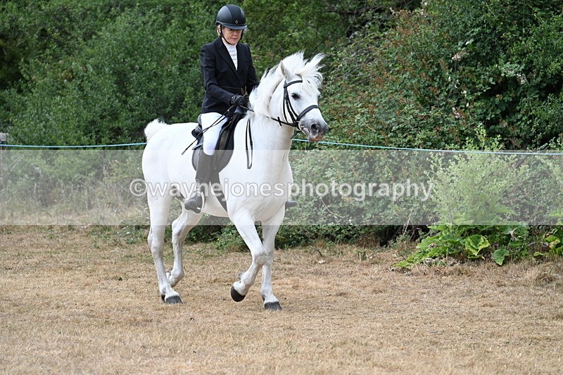WJ7_0392 - Class 6 Ridden Mountain and Moorland