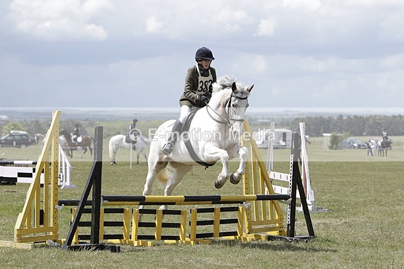 BVHT 140517 N-352 - Class 2 SJ Novice 14/05/17