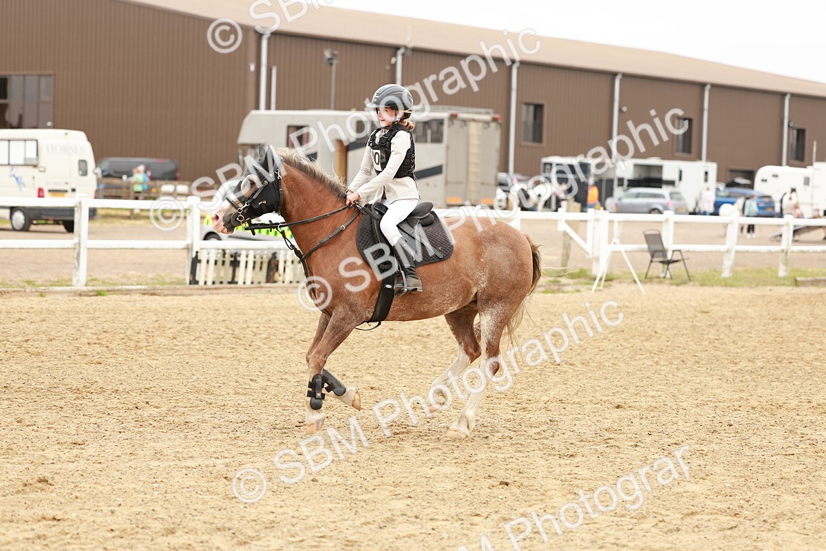 SBM_007271 - Class 2 - 50cm