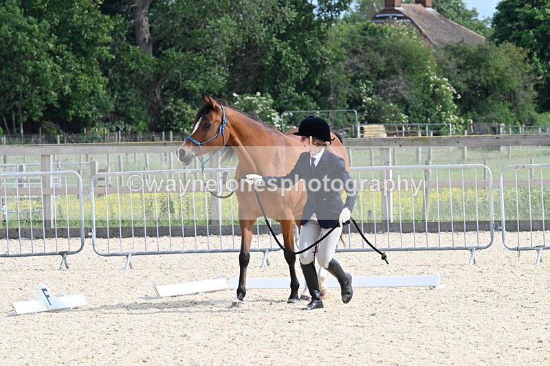 WJ7_8232 - Time 16:10 to 16:25