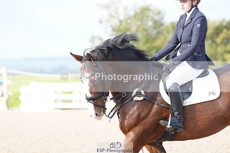 241005A-101550-04429 - SAT Cls 8 Snr British Novice & 90cm Open