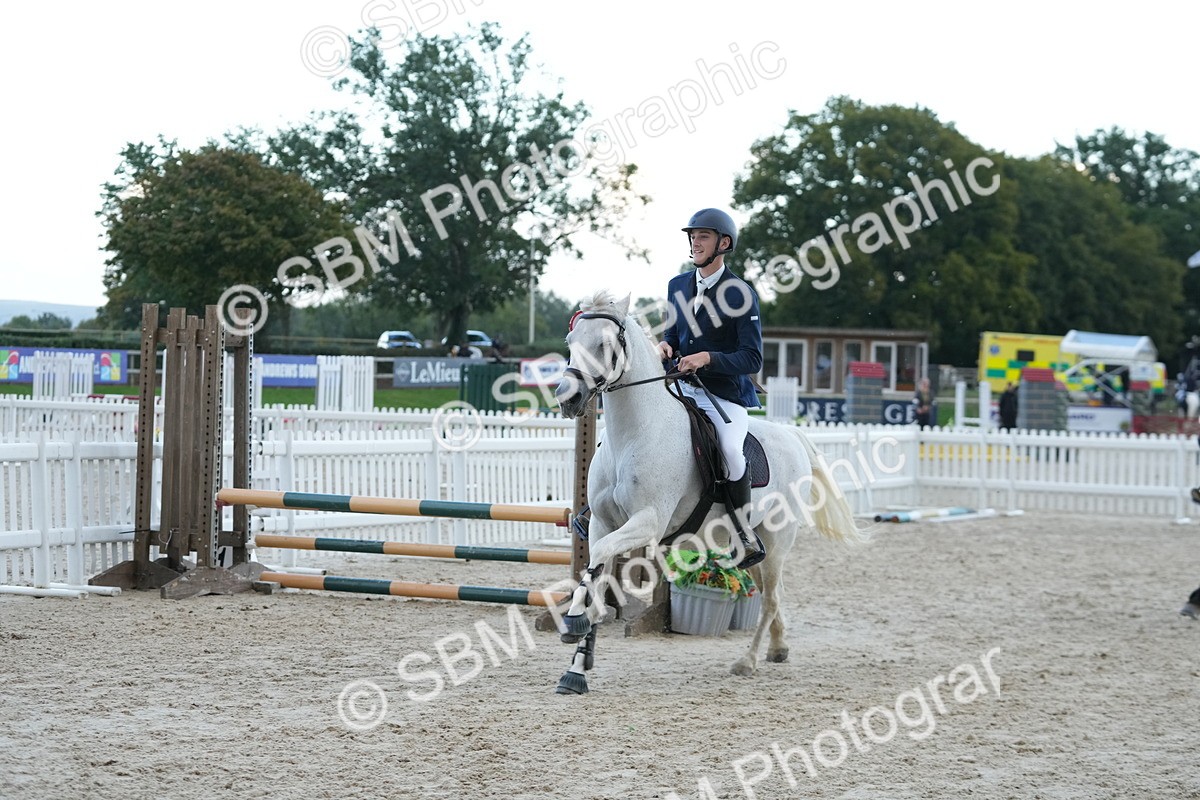 SBM_54264 - Supreme Championship 60cm 65cm