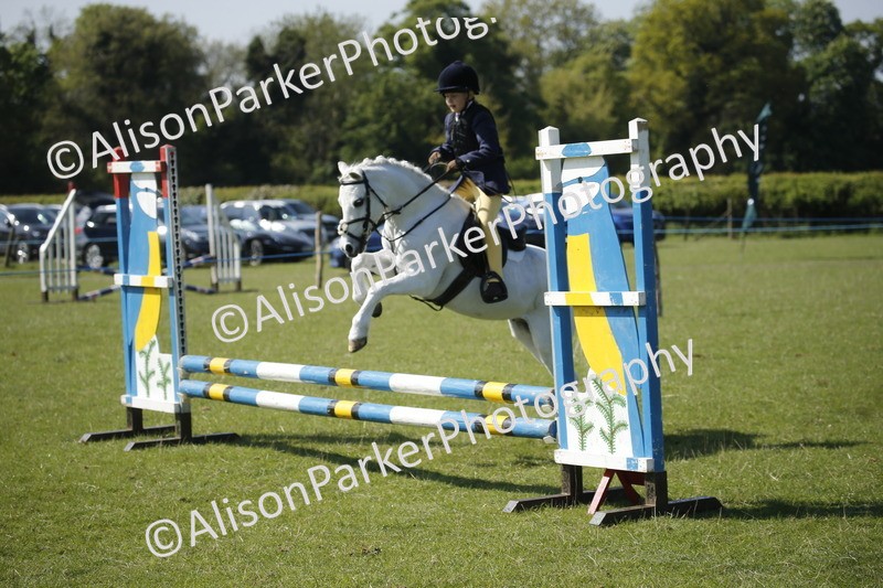 20250427-1973 - Class 13 - Novice Jumping 60cm