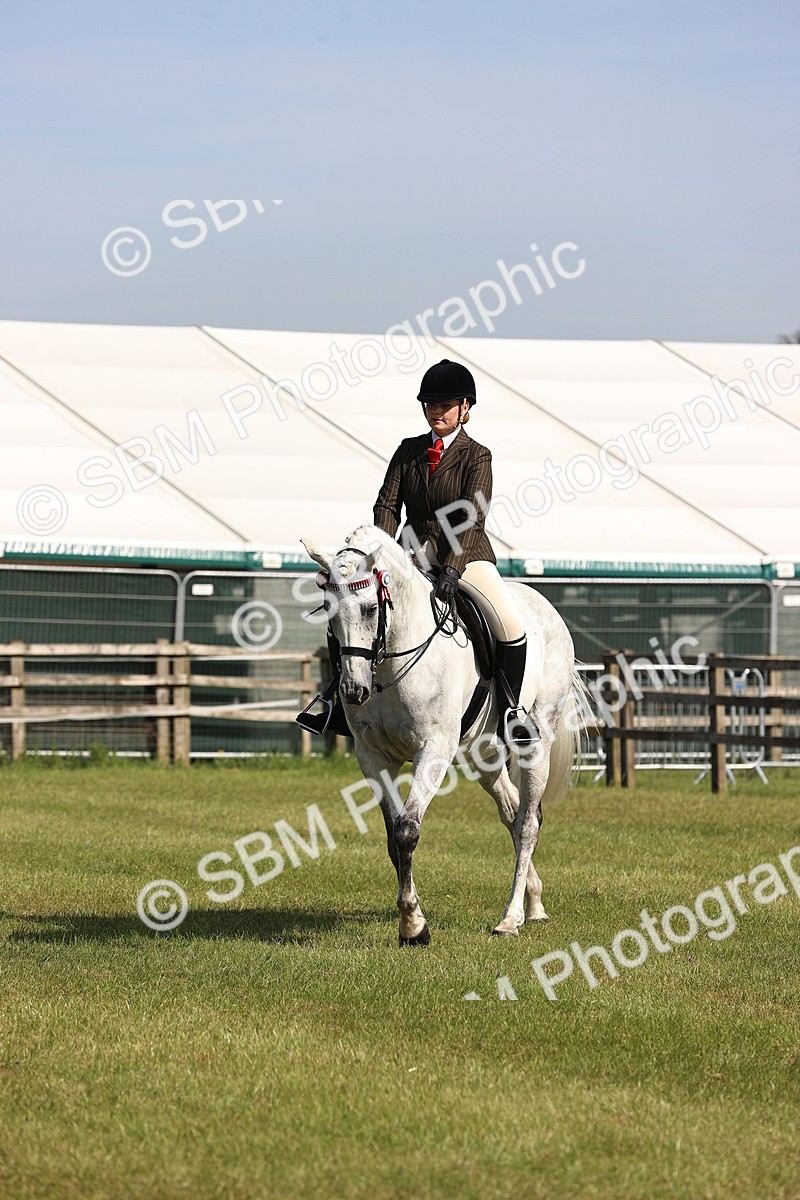 SBM_12918 - Class 75-76 LIHS BSHA Rising Star Hack Riding Horse