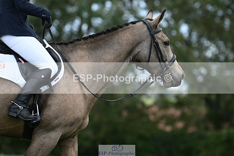 231020-143412-10675 - 498-SILVERLININGS.APHRODITE-Emily.Dobson-DR