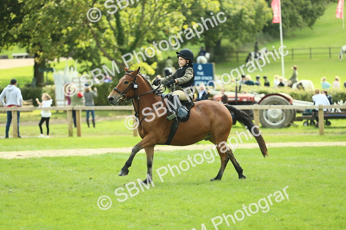 SBM_44611 - S31 - Working Hunter Pony