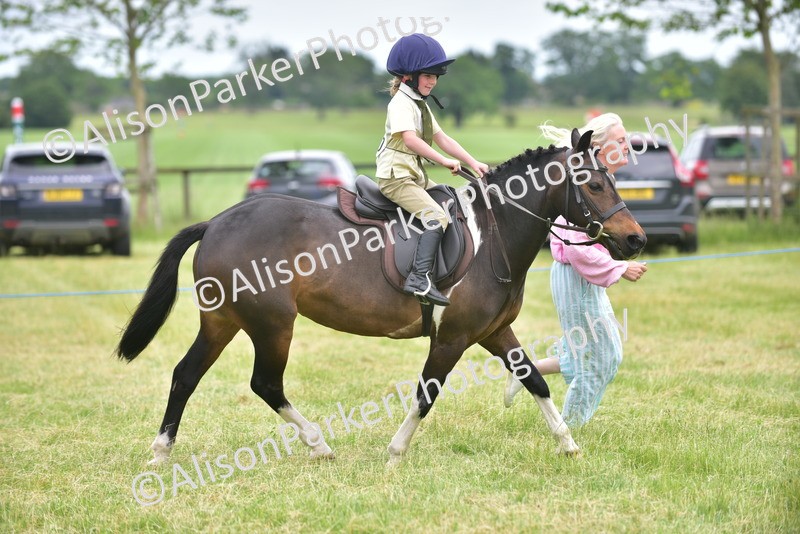 20260614-2698 - Class 13 - Pony Club Pony