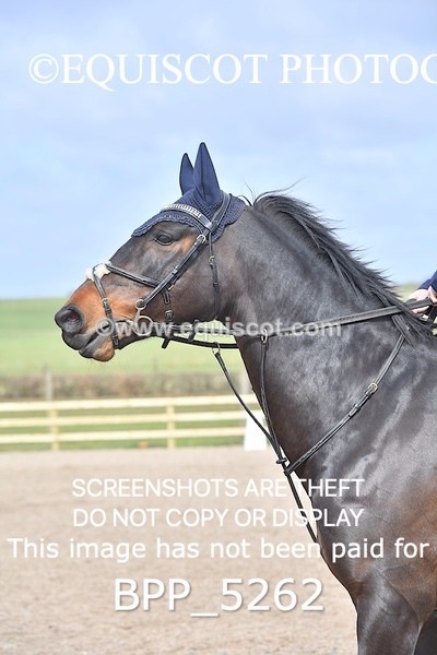 BPP_5262 - CLASS 3 0.85m Amateur Championship Qualifier