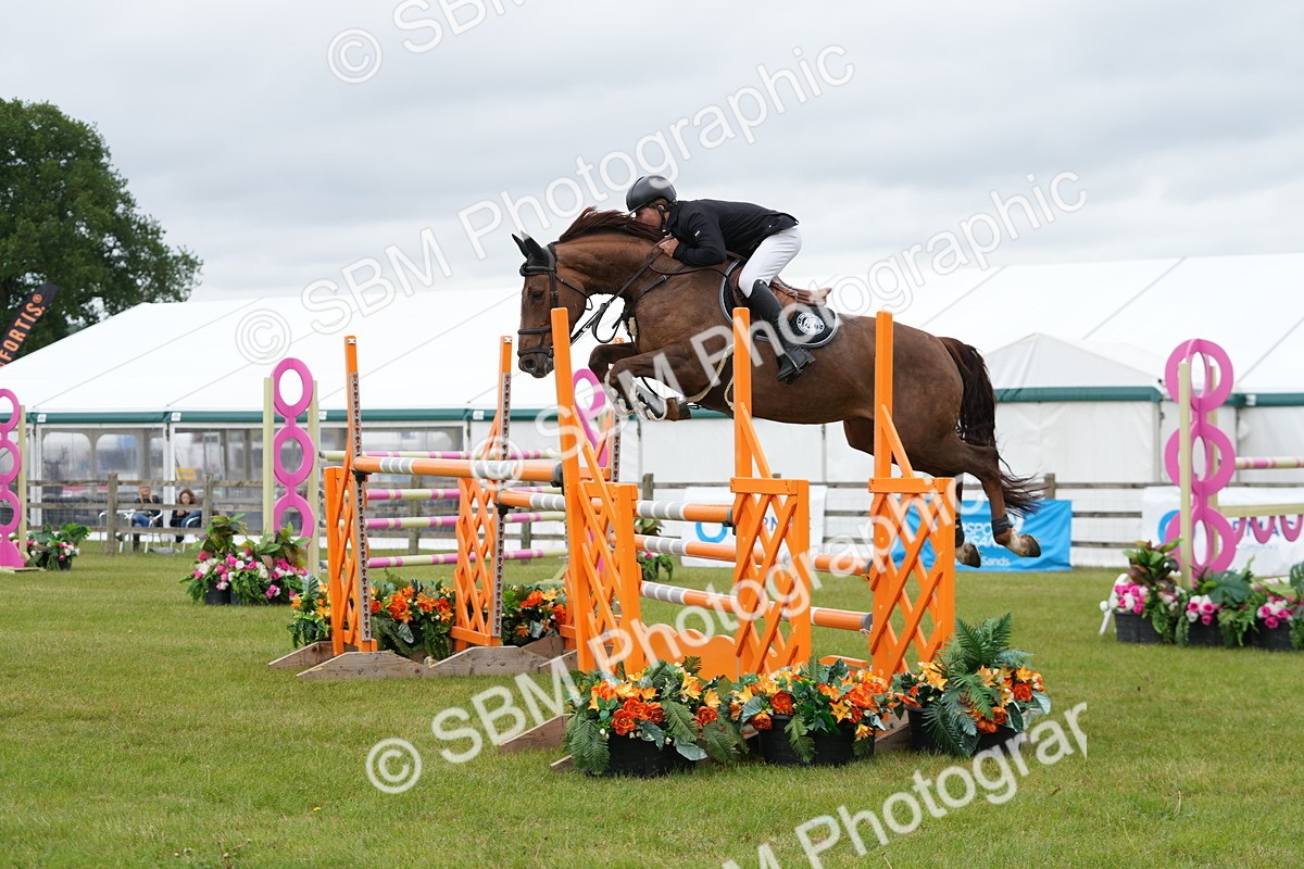 SBM_03442 - Class 201 - British Horse Feeds Speedi Beet Horse of the Year Show Grade  C