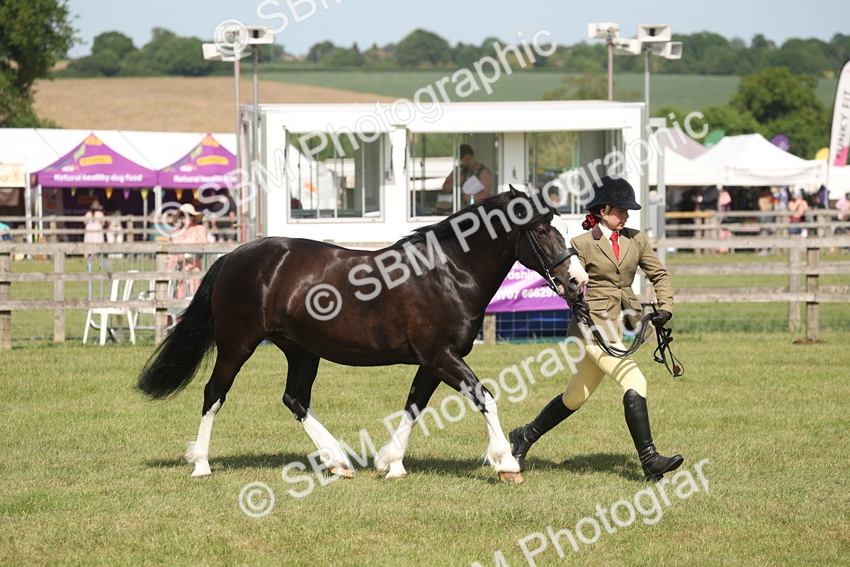SBM_09234 - Class 31-32 - SSADL Members Challenge