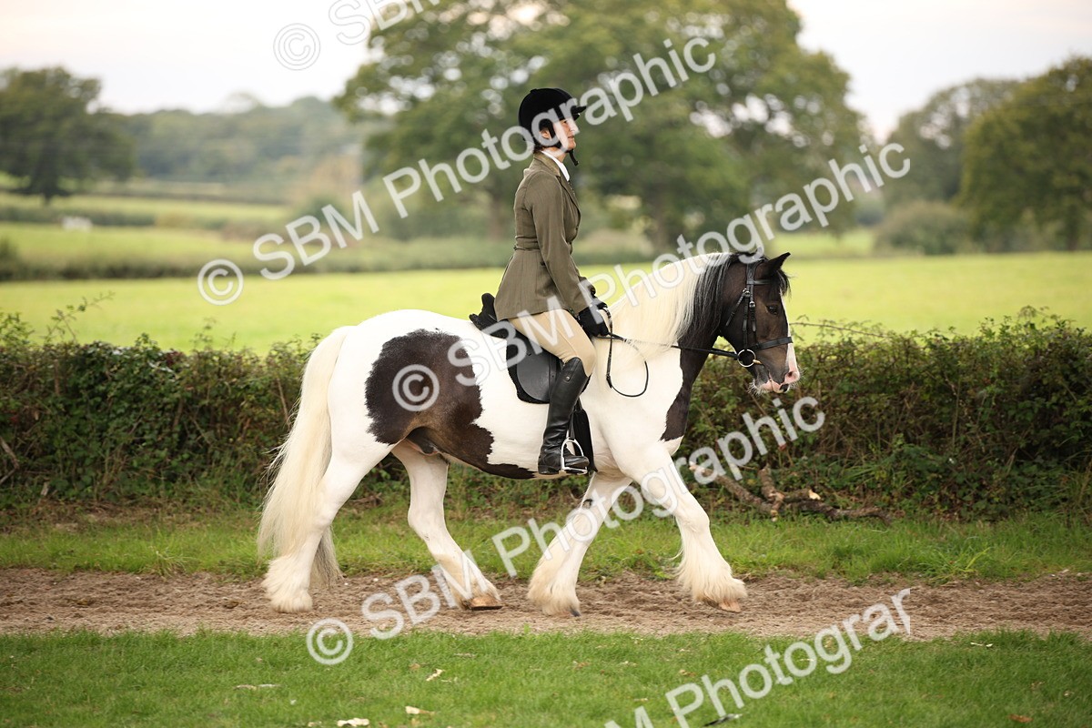 SBM_73428 - S68 - Traditional Cob Ridden