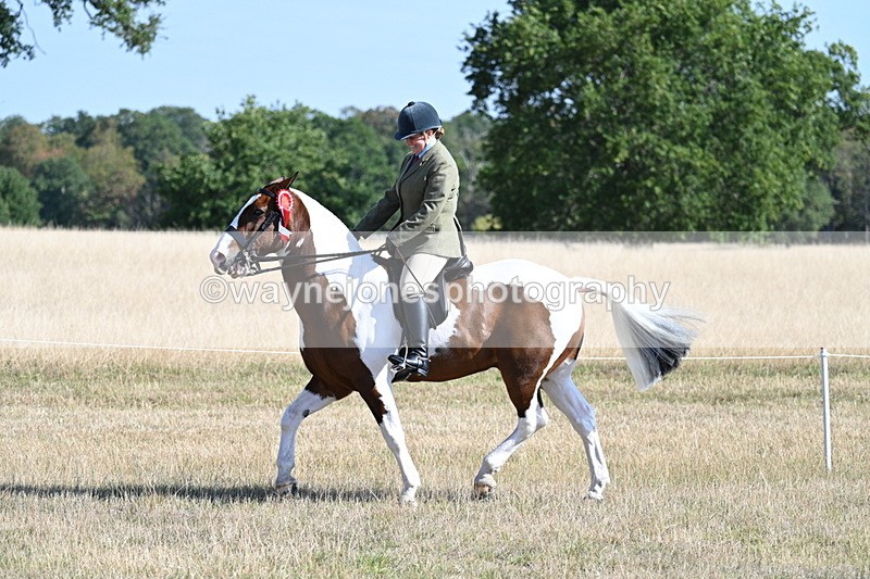 WJ7_3228 - Class 8 Ridden Tack & Turnout