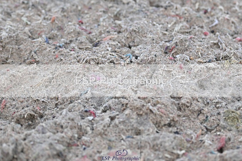 250125-130601-00565 - Dressage - CT Class 6 BE102