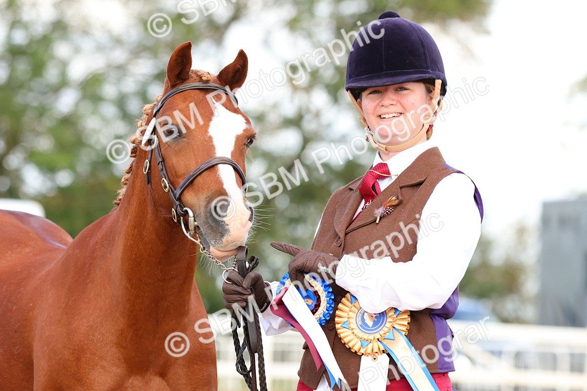 SBM_09244 - Class 204 - Young Handler