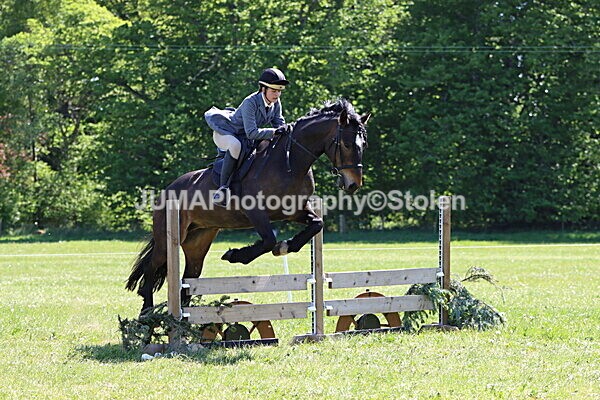 IMG_4031 - Working Hunter