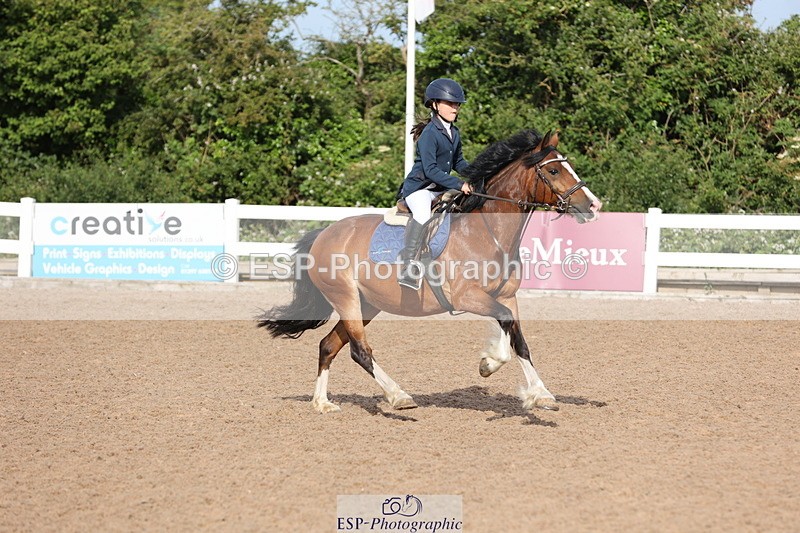 240629A-082215-02520 - Cls 16 British Novice and 80cm Open