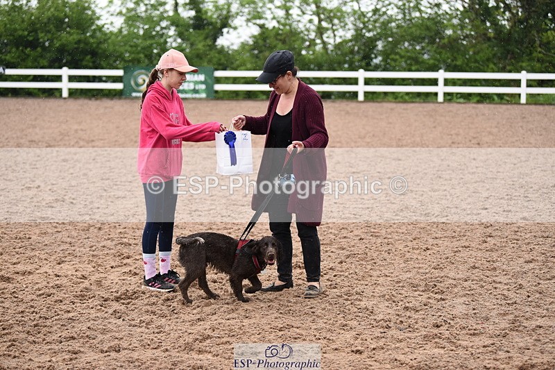 240518A-132952-01311 - Cls 8 Dog the judge would most like to take home