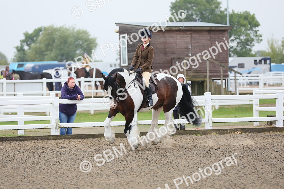 SBM_19927 - Class 801 - Ridden Veteran